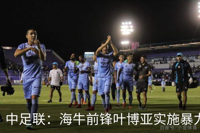 中足联：海牛前锋叶博亚实施暴力行为 停赛4场罚款4万